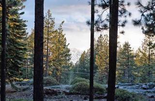 Knoll Lane Holiday home - 2