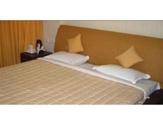 Shree Nath Hotel, Agra - Agra - 9