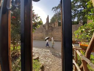 Lodge Du Chateau - Gonder - 4