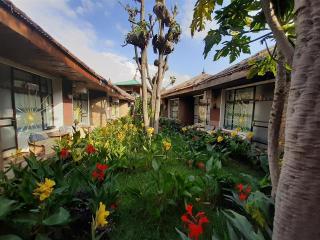 Lodge Du Chateau - Gonder - 0