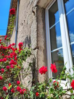 Apartment Le 1739 - 8