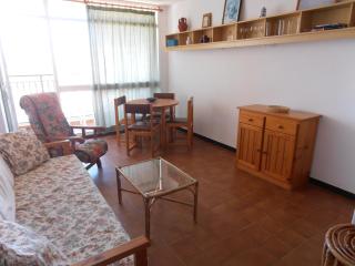 Apartamentos Peñíscola Playa - Peñíscola - 8