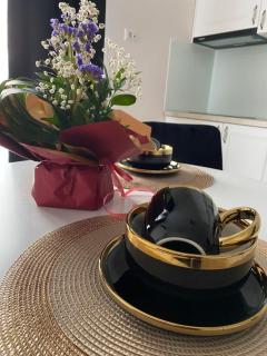 Apartament Timisoara 4 - Timişoara - 7