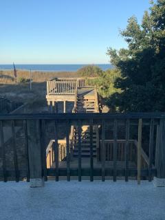 Mermaids & Mutts bungalow - North Camellia Acres - 7