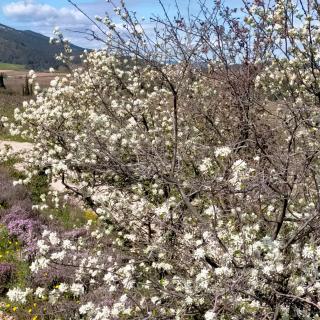 Alaric Lodge: gîte champêtre avec parking privé. - 2