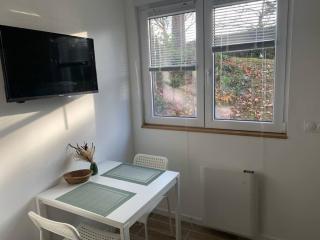 Charmante studette au cœur du Plessis Robinson - Le Plessis-Robinson - 9