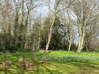 The Mulberry Apartment at Langford Hall - Newark-on-Trent - 1