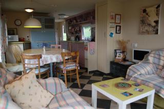 Nantgwynfaen Organic Farm Wales - Llandysul - 8