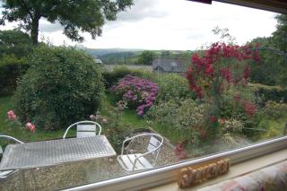 Nantgwynfaen Organic Farm Wales - Llandysul - 6
