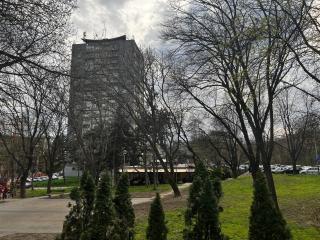 Morning Wood - Spa - 1