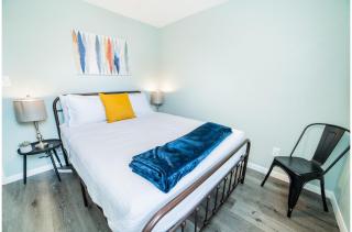 Fascinating 1BR1 BA Near Festive DT and Riverwalk - San Antonio - 4
