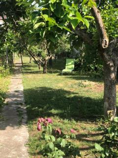 Chez Carmen - Albi - 5