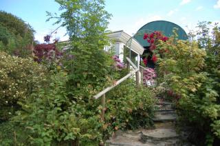 Nantgwynfaen Organic Farm Wales - Llandysul - 4