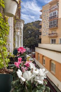 La Casa de las Flores - Cartagena - 5