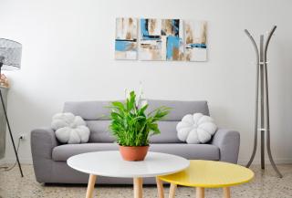 Appartamento Ciclamino - Mestre - 7