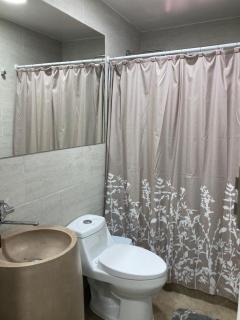 Parcela en Pucón con casa - Pucón - 6
