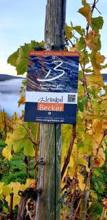Weingut u. Gästehaus Becker - 3