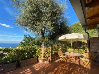 Orange Cottage Moderno tra gli ulivi di Sorrento - Sorrento - 8