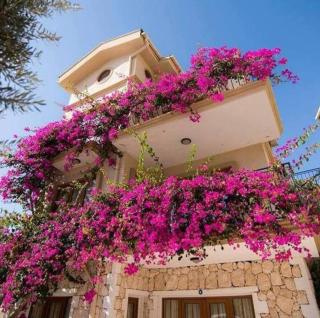 Kleo Apartment Mediterranean Garden Complex Kalkan - 8