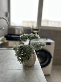 The Orchid, Apartment by LMG - 4