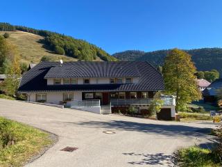 Pension Hofeck - Bernau im Schwarzwald - 0
