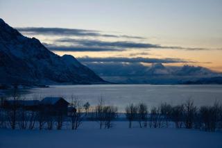 Charming house by the sea, Lofoten! - Laupstad - 3