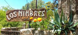 Hosteria y Cabañas Los Mimbres - 3