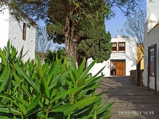Casa Magali - Tacoronte - 9