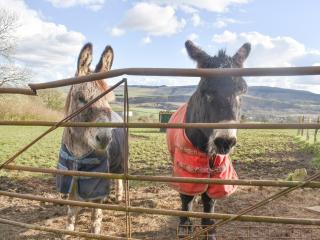 Bondcroft Farm Cottage - Embsay - 8