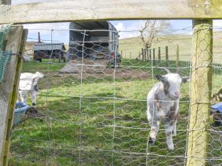 Bondcroft Farm Cottage - Embsay - 7