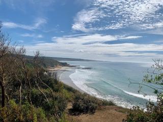 The Panorama - Aireys Inlet - 0