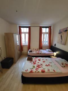 Apartmentzimmer - Erfurt - 2