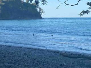 Villa Lapa - Agujas - 9