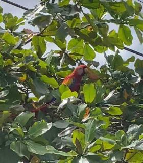 Villa Lapa - Agujas - 7