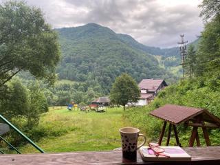 Casa de vacanta Satic Piatra Craiului La Doi viermi - Sătic - 5