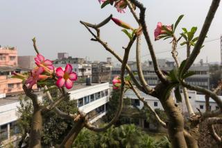 Neelam Bed & Breakfast - Calcuta - 5