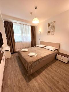 Forest View Silver M B34 Poiana Brasov - Poiana Brasov - 3