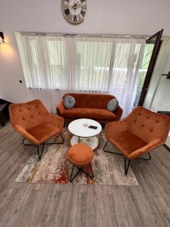 Forest View Silver M B34 Poiana Brasov - Poiana Brasov - 9