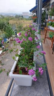 Family homestay Bảo Lộc - Bảo Lộc - 4