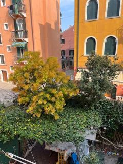Appartamento Tipico Veneziano - Venice - 1