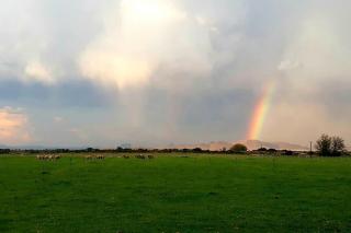 Southfield Cottage - Middelburg - 7