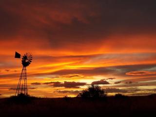 Southfield Cottage - Middelburg - 2