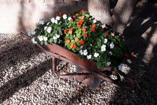 Southfield Cottage - Middelburg - 1