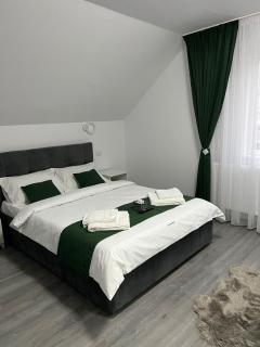 Alio Guest House - Zărneşti - 4