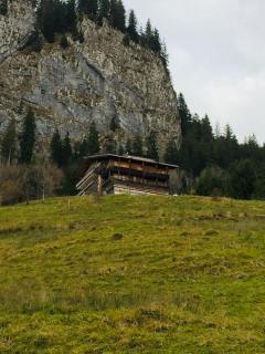 Apartment Ebnit - Dornbirn - 2