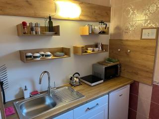 HOTEL DIANA apartments - Prague - 4