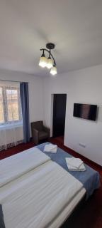 RIA Room - Apartemente 9 - Baile Felix - 6