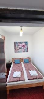 RIA Room - Apartemente 9 - Baile Felix - 4