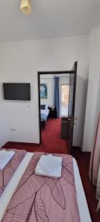 RIA Room - Apartemente 9 - Baile Felix - 2