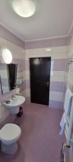 RIA Room - Apartemente 9 - Baile Felix - 1